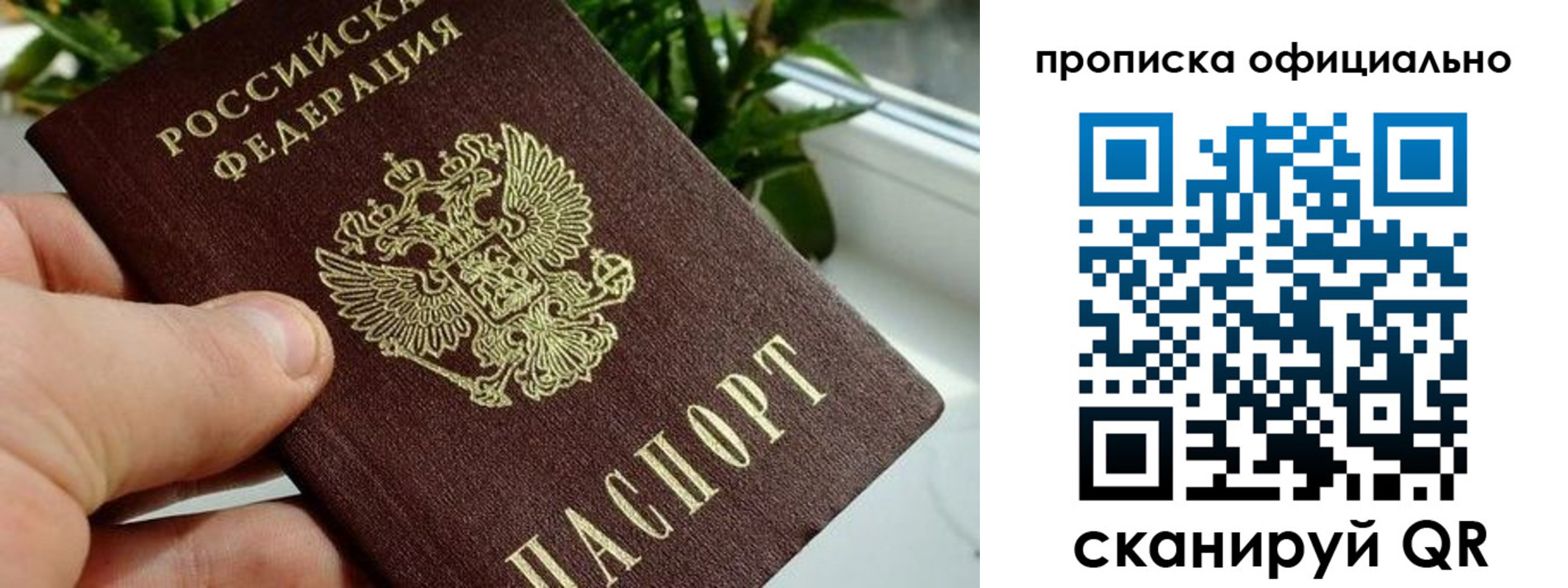 прописка поиск в Нововоронеже